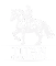 Titan Horseboxes Logo