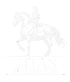 Titan Horseboxes Logo